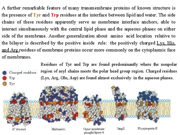 A further remarkable feature of many transmembrane proteins of known structure is the presence