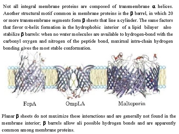 Not all integral membrane proteins are composed of transmembrane a helices. Another structural motif