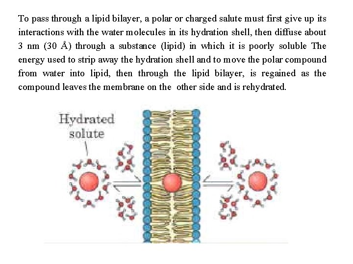 To pass through a lipid bilayer, a polar or charged salute must first give