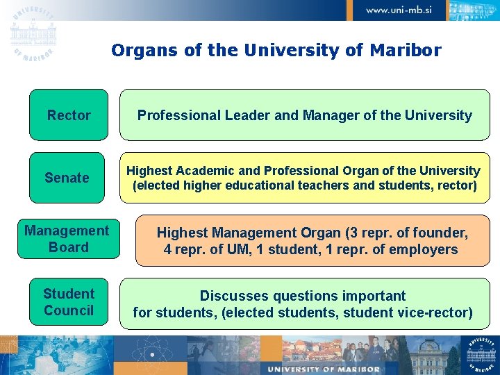 Organs of the University of Maribor Rector Professional Leader and Manager of the University