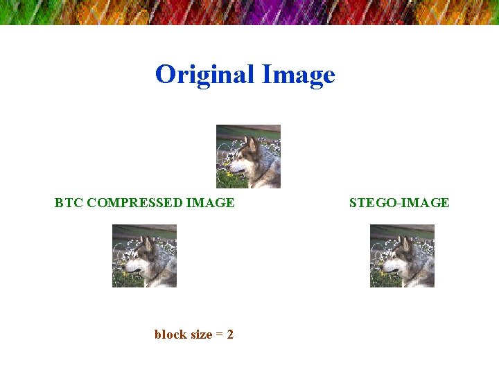 Original Image BTC COMPRESSED IMAGE block size = 2 STEGO-IMAGE 