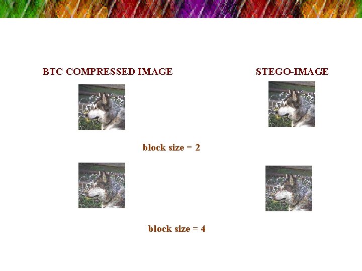 BTC COMPRESSED IMAGE block size = 2 block size = 4 STEGO-IMAGE 