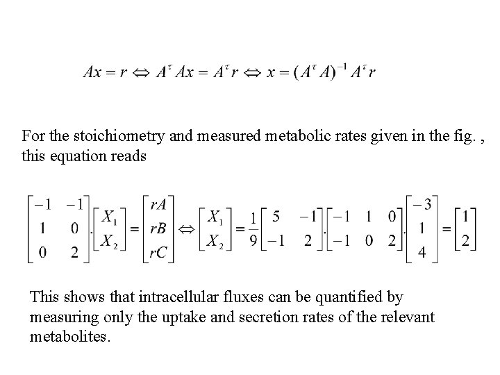  For the stoichiometry and measured metabolic rates given in the fig. , this