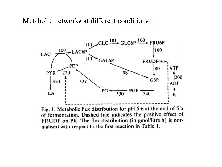 Metabolic networks at different conditions : 