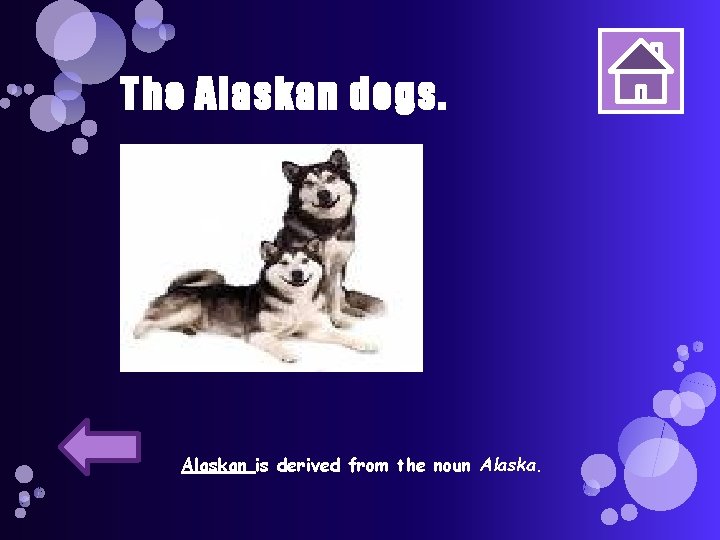 The Alaskan dogs. Alaskan is derived from the noun Alaska. 