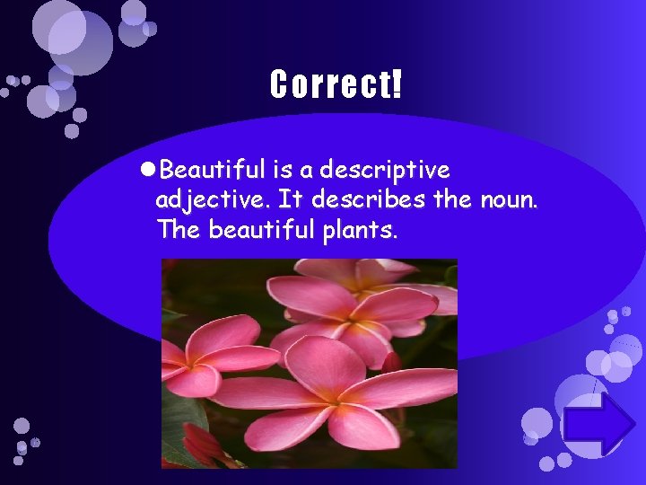 Correct! Beautiful is a descriptive adjective. It describes the noun. The beautiful plants. 