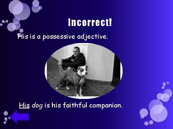 Incorrect! His is a possessive adjective. His dog is his faithful companion. 