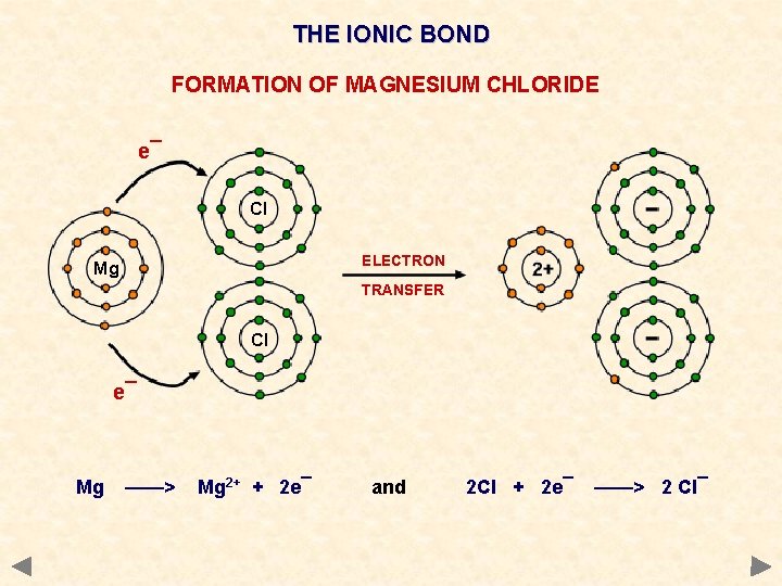 THE IONIC BOND FORMATION OF MAGNESIUM CHLORIDE e¯ Cl ELECTRON Mg TRANSFER Cl e¯