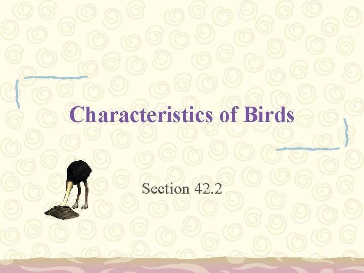 Characteristics of Birds Section 42. 2 