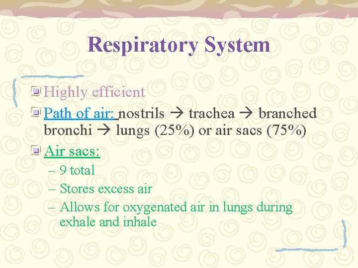 Respiratory System Highly efficient Path of air: nostrils trachea branched bronchi lungs (25%) or