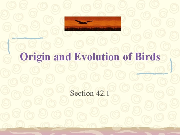 Origin and Evolution of Birds Section 42. 1 