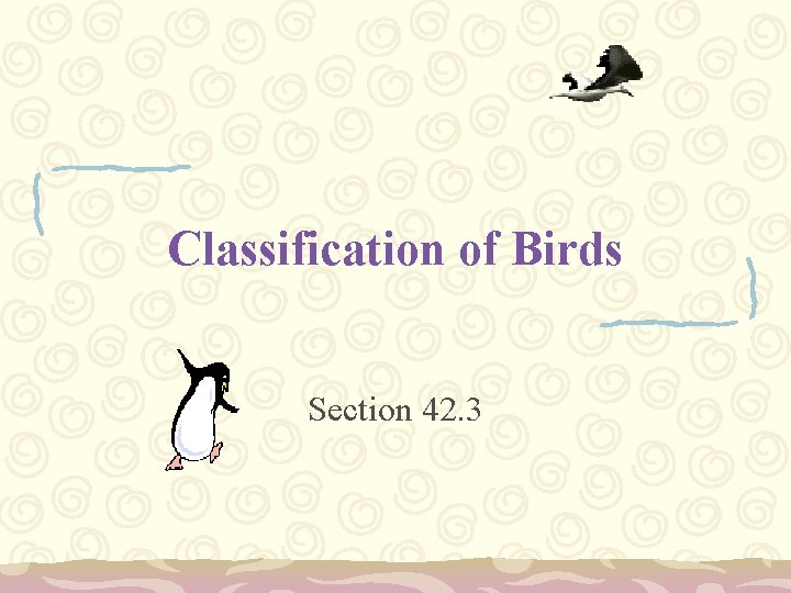 Classification of Birds Section 42. 3 