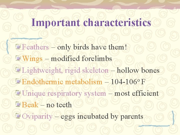 Important characteristics Feathers – only birds have them! Wings – modified forelimbs Lightweight, rigid