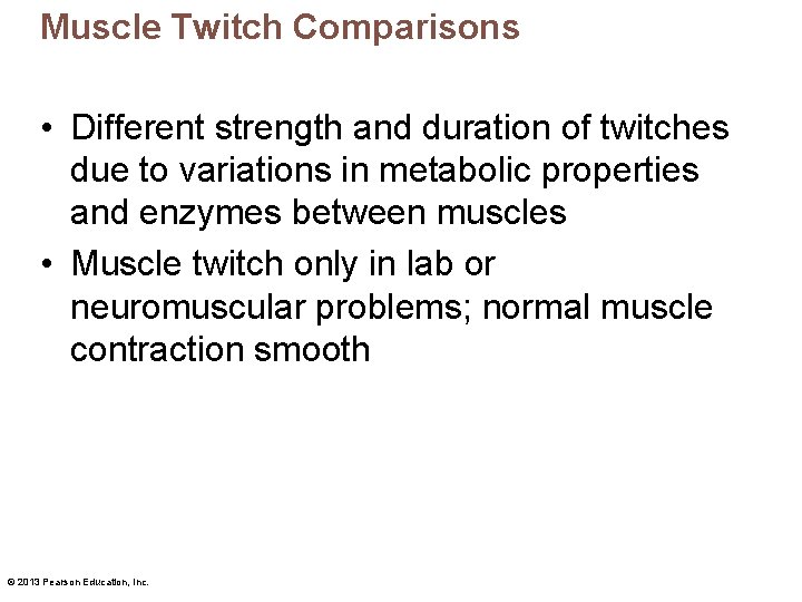 Muscle Twitch Comparisons • Different strength and duration of twitches due to variations in