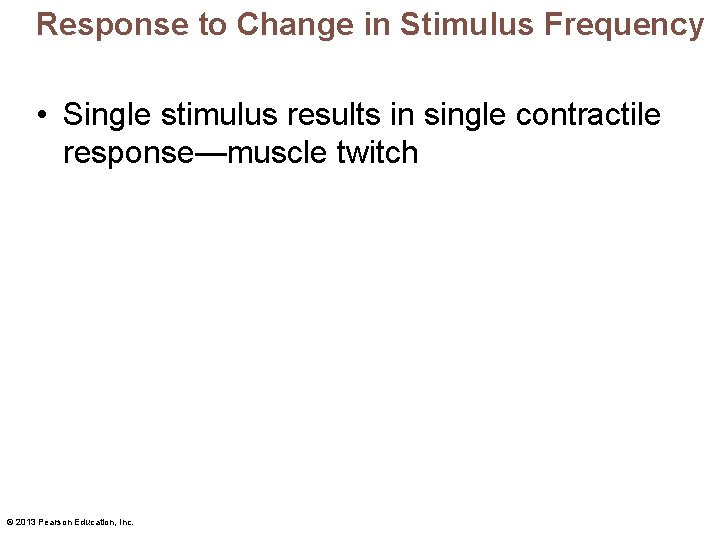 Response to Change in Stimulus Frequency • Single stimulus results in single contractile response—muscle