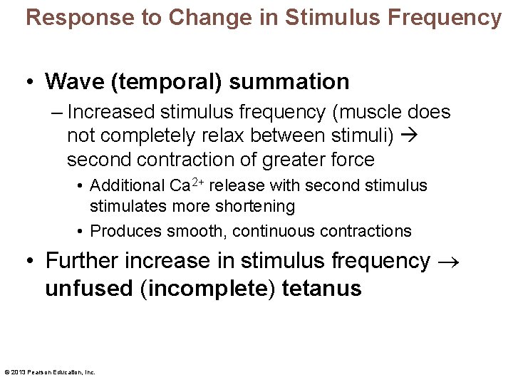 Response to Change in Stimulus Frequency • Wave (temporal) summation – Increased stimulus frequency