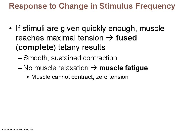 Response to Change in Stimulus Frequency • If stimuli are given quickly enough, muscle