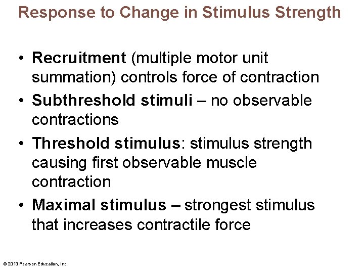 Response to Change in Stimulus Strength • Recruitment (multiple motor unit summation) controls force