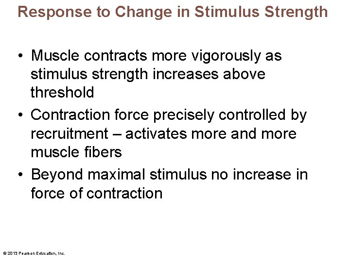 Response to Change in Stimulus Strength • Muscle contracts more vigorously as stimulus strength