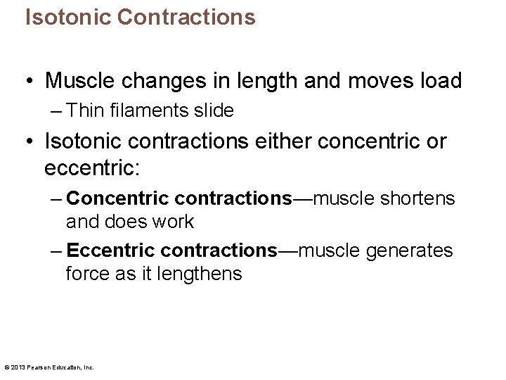 Isotonic Contractions • Muscle changes in length and moves load – Thin filaments slide