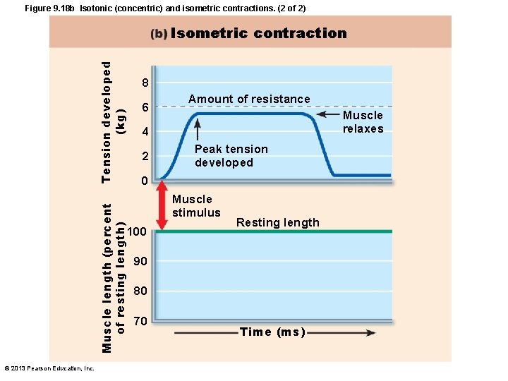 Figure 9. 18 b Isotonic (concentric) and isometric contractions. (2 of 2) Muscle length