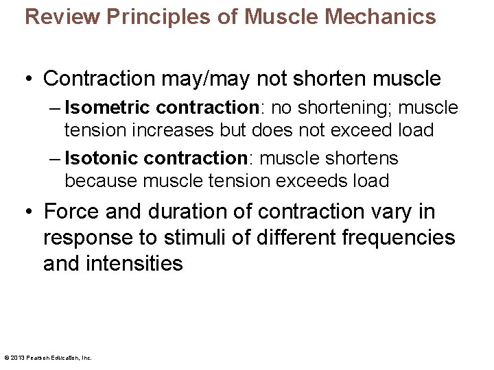 Review Principles of Muscle Mechanics • Contraction may/may not shorten muscle – Isometric contraction: