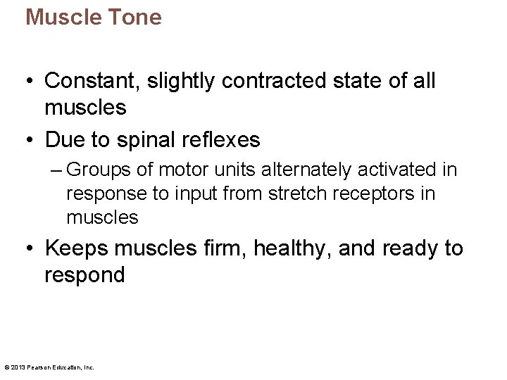 Muscle Tone • Constant, slightly contracted state of all muscles • Due to spinal