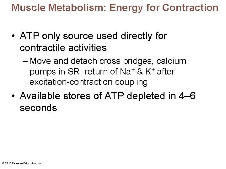 Muscle Metabolism: Energy for Contraction • ATP only source used directly for contractile activities