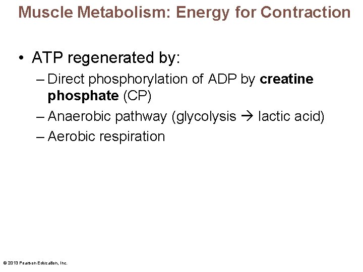 Muscle Metabolism: Energy for Contraction • ATP regenerated by: – Direct phosphorylation of ADP