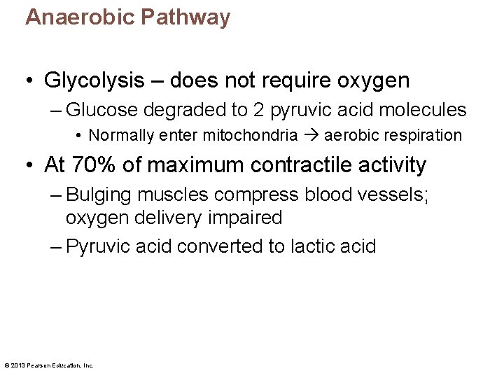 Anaerobic Pathway • Glycolysis – does not require oxygen – Glucose degraded to 2