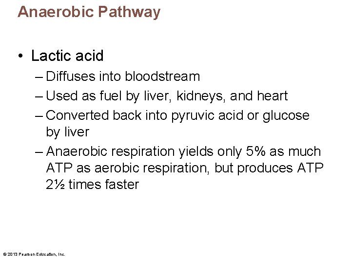 Anaerobic Pathway • Lactic acid – Diffuses into bloodstream – Used as fuel by