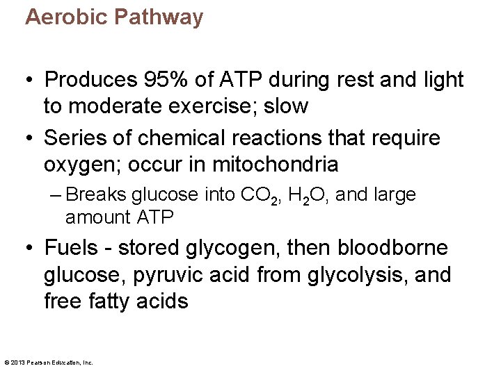 Aerobic Pathway • Produces 95% of ATP during rest and light to moderate exercise;