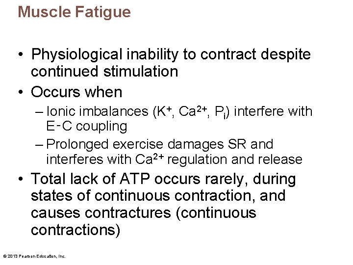 Muscle Fatigue • Physiological inability to contract despite continued stimulation • Occurs when –