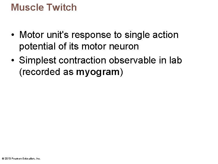 Muscle Twitch • Motor unit's response to single action potential of its motor neuron