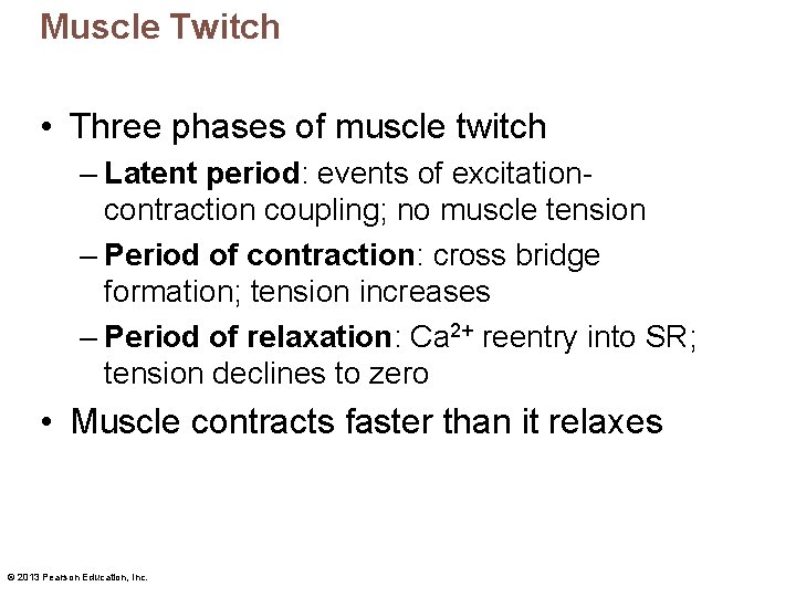 Muscle Twitch • Three phases of muscle twitch – Latent period: events of excitationcontraction