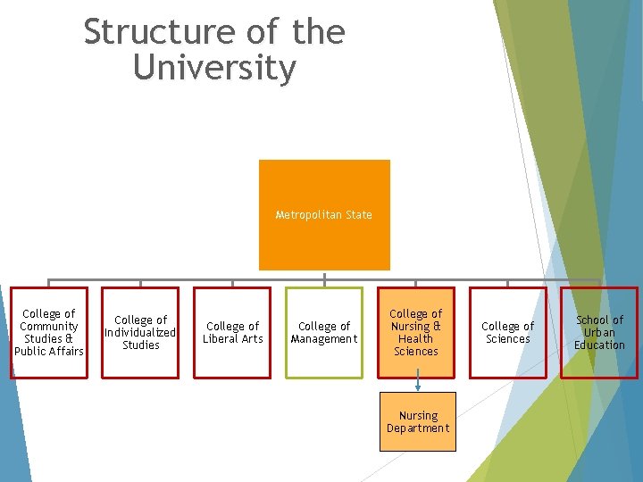 Structure of the University Metropolitan State College of Community Studies & Public Affairs College