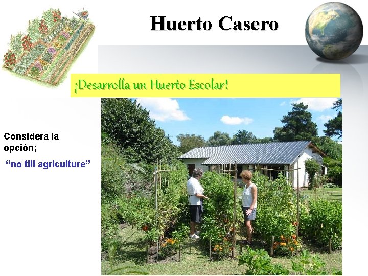 Huerto Casero ¡Desarrolla un Huerto Escolar! Considera la opción; “no till agriculture” 