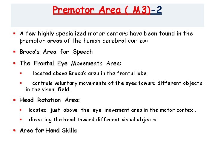 Premotor Area ( M 3)-2 § A few highly specialized motor centers have been