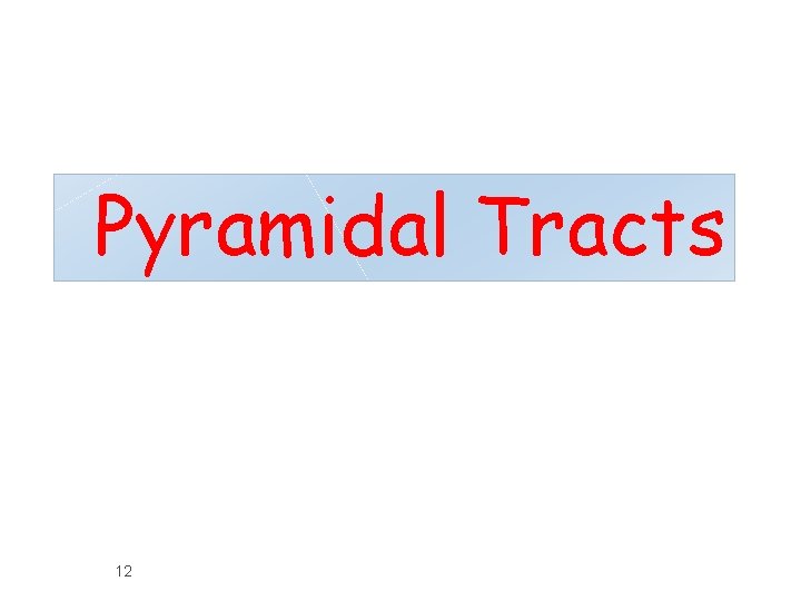 Pyramidal Tracts 12 