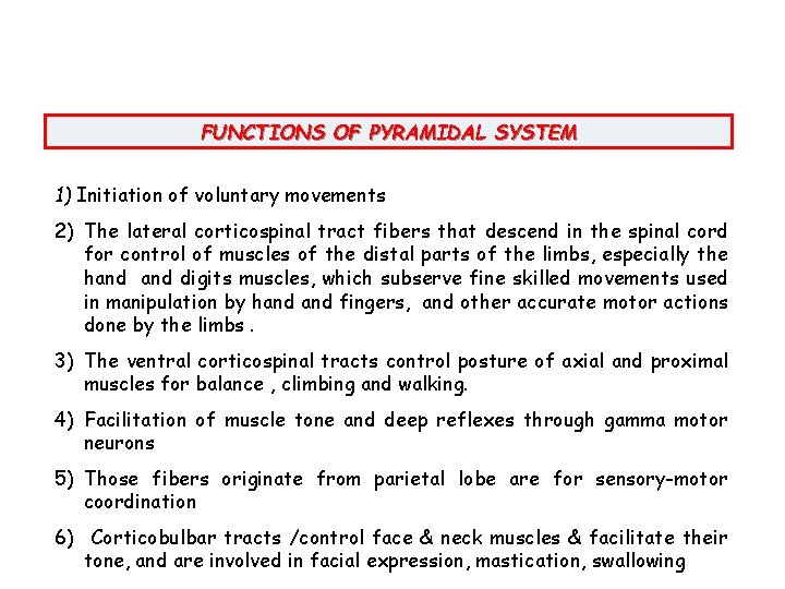 FUNCTIONS OF PYRAMIDAL SYSTEM 1) Initiation of voluntary movements 2) The lateral corticospinal tract