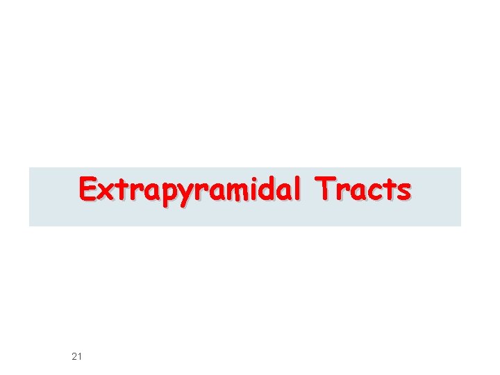 Extrapyramidal Tracts 21 