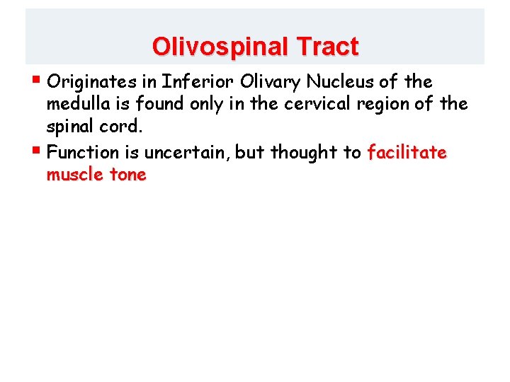 Olivospinal Tract § Originates in Inferior Olivary Nucleus of the medulla is found only