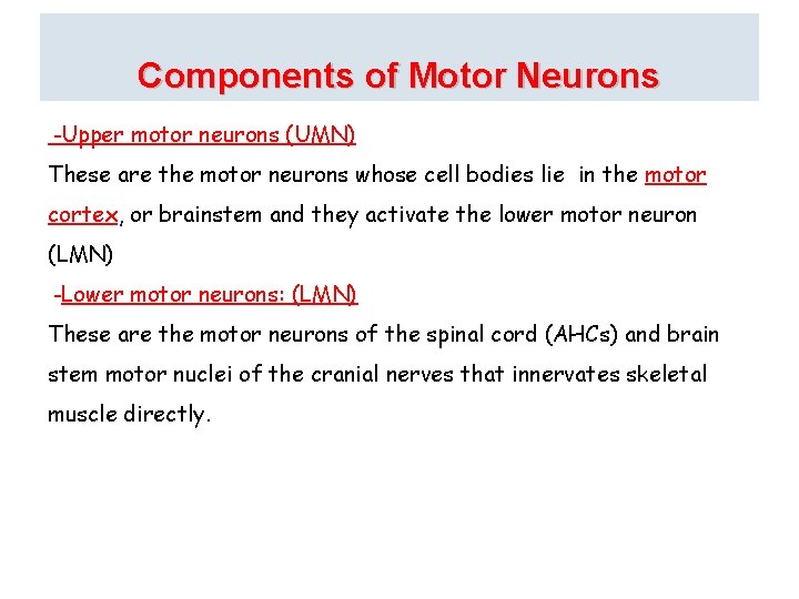 Components of Motor Neurons -Upper motor neurons (UMN) These are the motor neurons whose