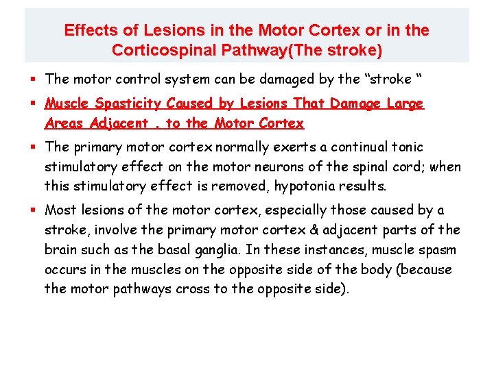 Effects of Lesions in the Motor Cortex or in the Corticospinal Pathway(The stroke) §