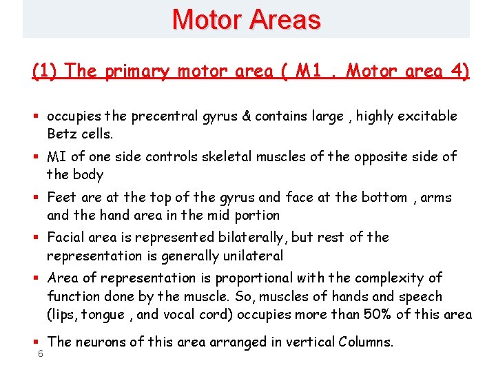 Motor Areas (1) The primary motor area ( M 1. Motor area 4) §