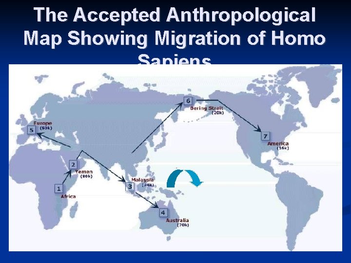 The Accepted Anthropological Map Showing Migration of Homo Sapiens 