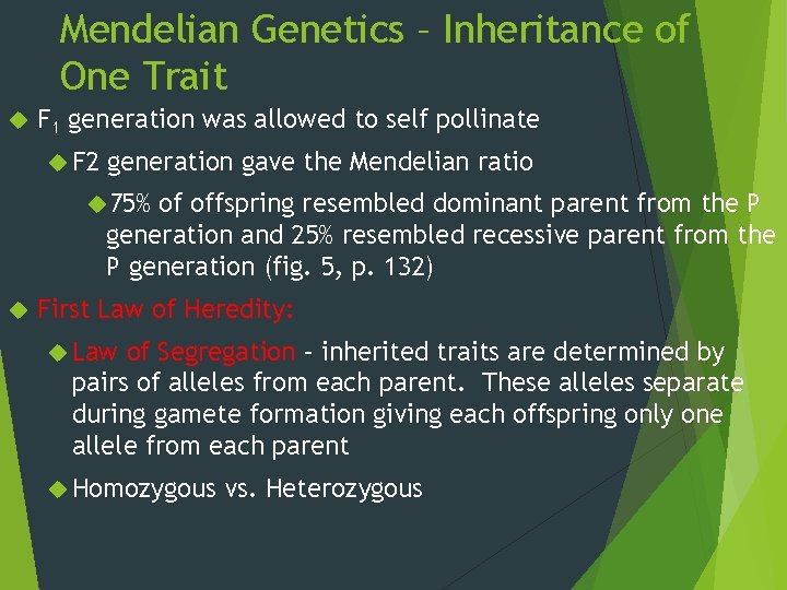 Mendelian Genetics – Inheritance of One Trait F 1 generation was allowed to self