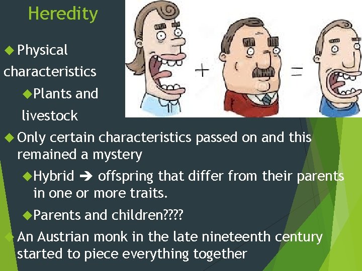 Heredity Physical characteristics Plants and livestock Only certain characteristics passed on and this remained