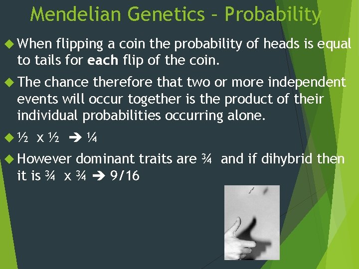 Mendelian Genetics – Probability When flipping a coin the probability of heads is equal