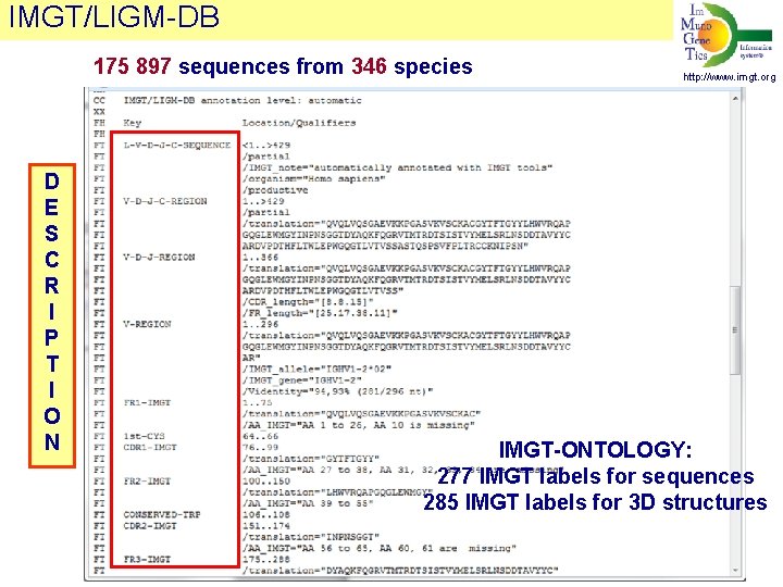 IMGT/LIGM-DB 175 897 sequences from 346 species D E S C R I P